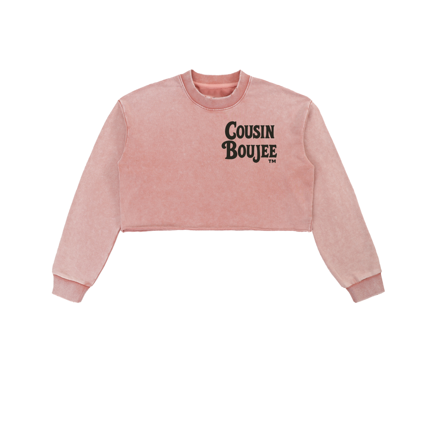 Snow Washed Raw Edge Cropped Sweatshirt